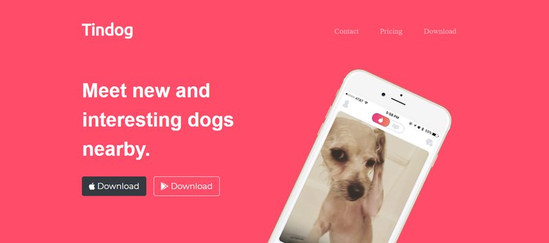 Overview of spindog casino